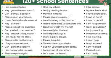 120+ Basic English Sentences for Daily Use in School