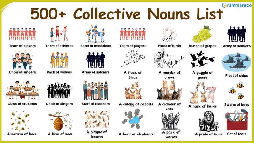 500+ Collective Nouns List for People, Things and Animals in English