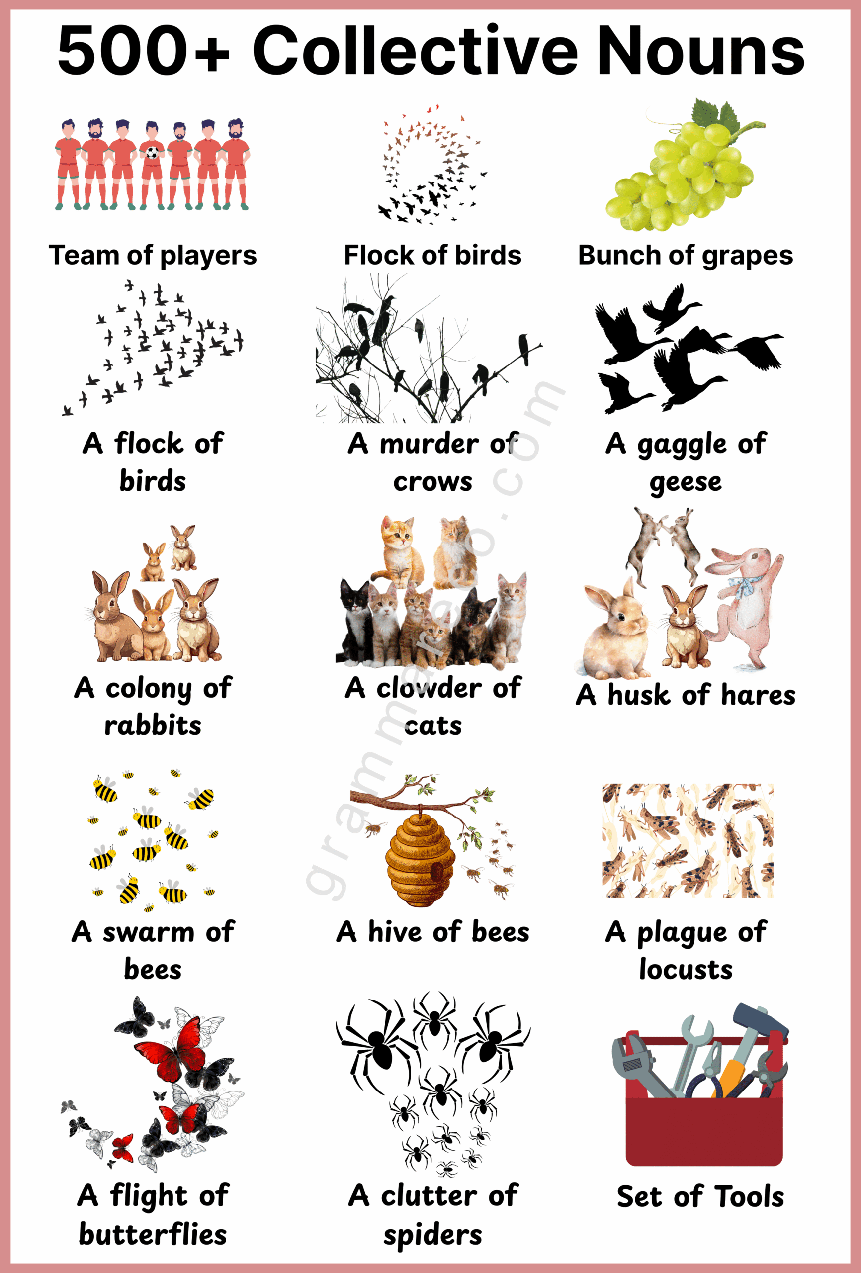 500+ Collective Noun in English with Pictures