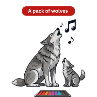 A pack reflects teamwork and hunting strategy