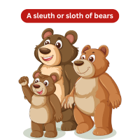 sleuth or sloth
