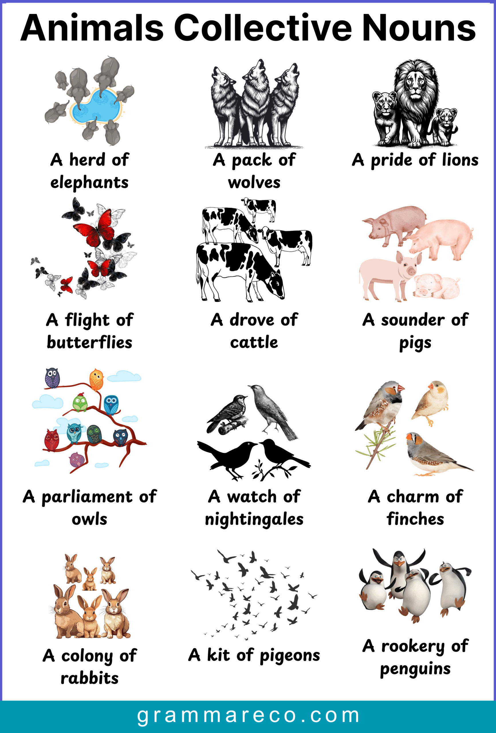 List of Animals Collective Nouns in English