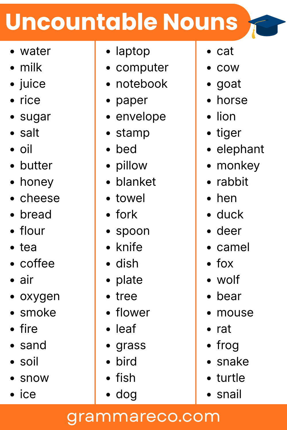 Examples of Uncountable Noun Words