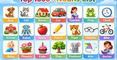 Top 1000+ Nouns List in English with Pictures | PDF