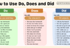 Uses of Do Does and Did: Do, Does, Did Rules with Examples