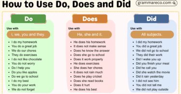 Uses of Do Does and Did: Do, Does, Did Rules with Examples