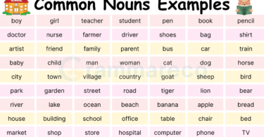 100+ Common Nouns Examples in English with Pictures