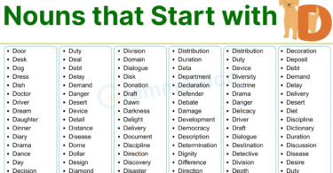 300+ Nouns that Start with D: List of Nouns that Start with a D