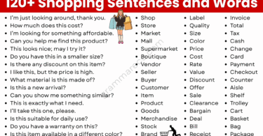120 Useful Shopping Sentences and Words in English