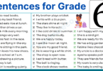 129+ Easy Sentences in English for Grade 6 Students with Pictures