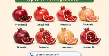15 Different Types of Pomegranate Fruit and their Pictures