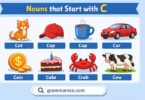300+ Nouns that Start with a C in English with Pictures