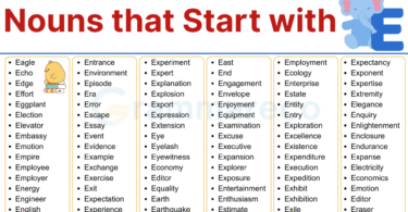 310+ Nouns Words that Start with E: List of E Noun with Images