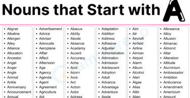 450+ Positive Nouns that Start with A with Examples