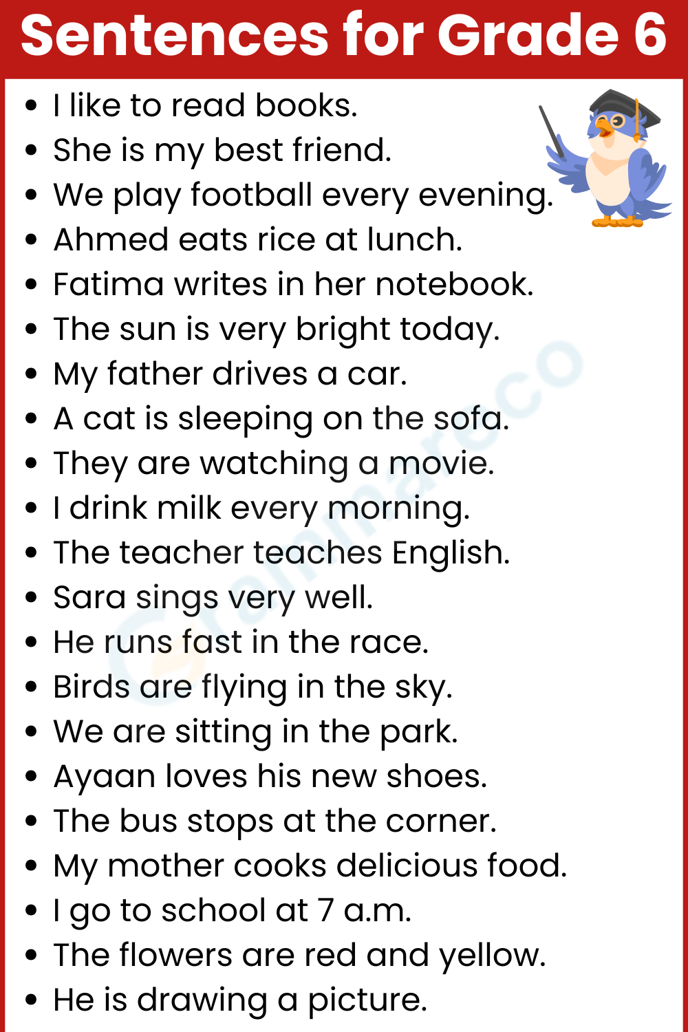 Basic Sentences for Grade 6 Kids with Pictures