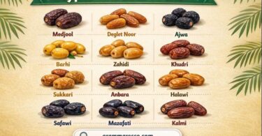 50+ Different Types of Dates Fruit with Images Around the World