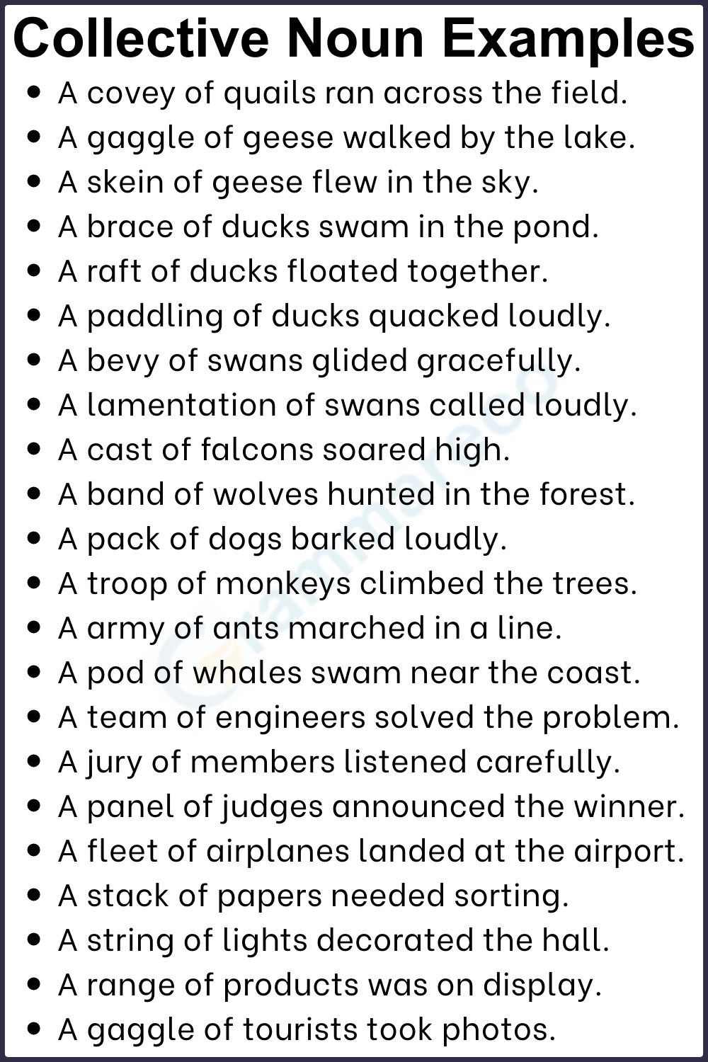 50 Example Sentence of Group Noun to Booster Your Vocabulary