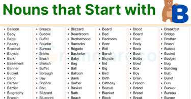 500+ List of Nouns that Start with B Examples with Pictures