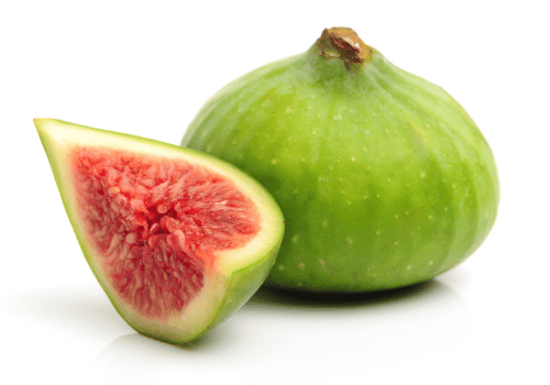 Adriatic Fig with Photos and their Facts