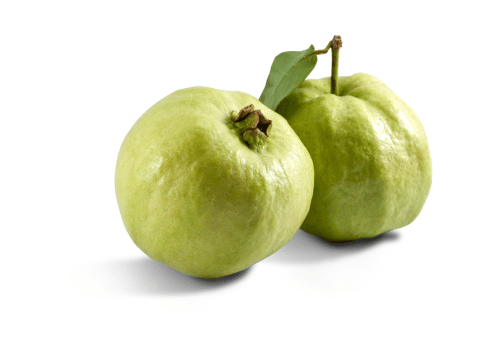 Apple Guava: Types of Guava Fruit and Pictures