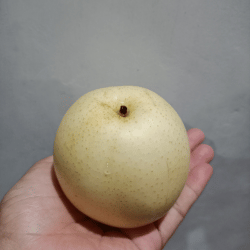 Asian Pear