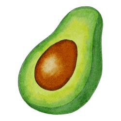 Avocado