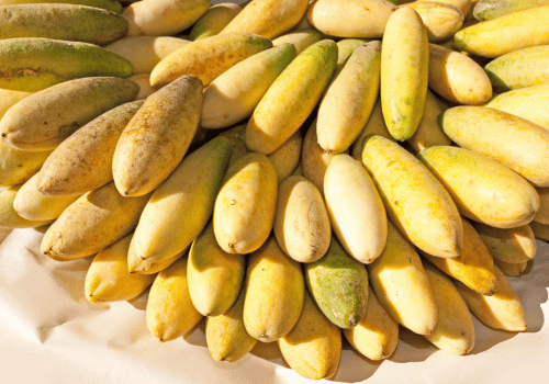 20+ Types of Passion Fruit: Banana Passion Fruit