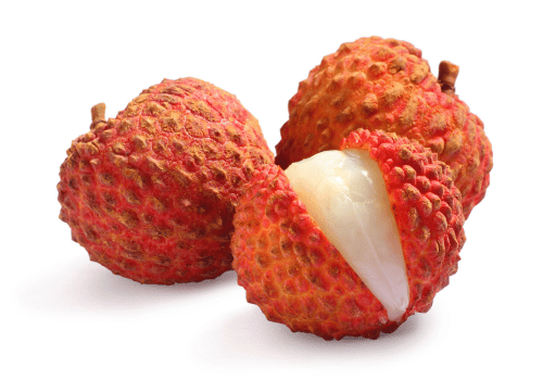 Bengal Lychee Fruit with Facts and Information