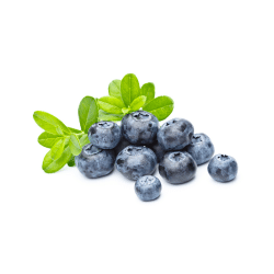 Bilberry