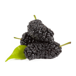 Black Mulberry: Purple Fruits Names