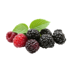 Black Raspberry