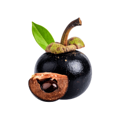 Black Sapote