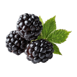 Blackberry: Purple Fruits Names