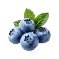 Blueberry (dark purple varieties)