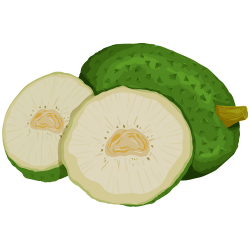 Breadfruit