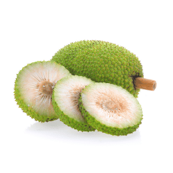 Breadfruit