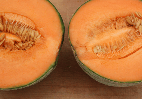 Types of Cantaloupe Fruit and Pictures: Charentais Cantaloupe
