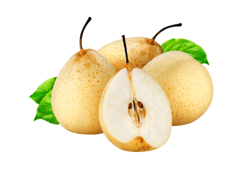 Chinese Pears Fruit Varieties: Size, Shape, Color