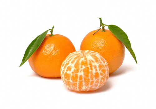 Clementine Orange with Pictures: Mandarin Type Oranges