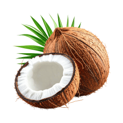 100 White Fruits with their Photos and Information