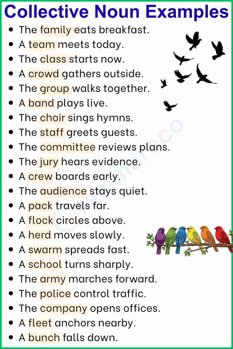 Word Collective Examples Top 100+ Collective Nouns Examples in Sentences in English | Grammareco.com