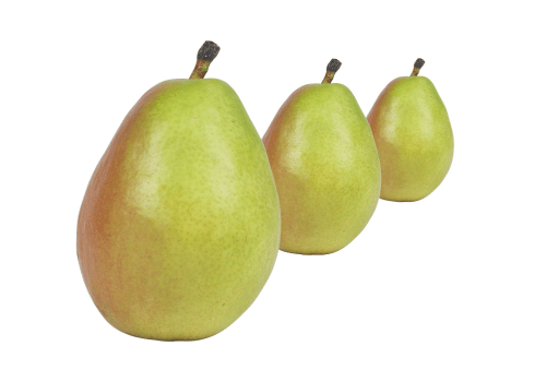 Comice Pears: Types of Pears Fruit