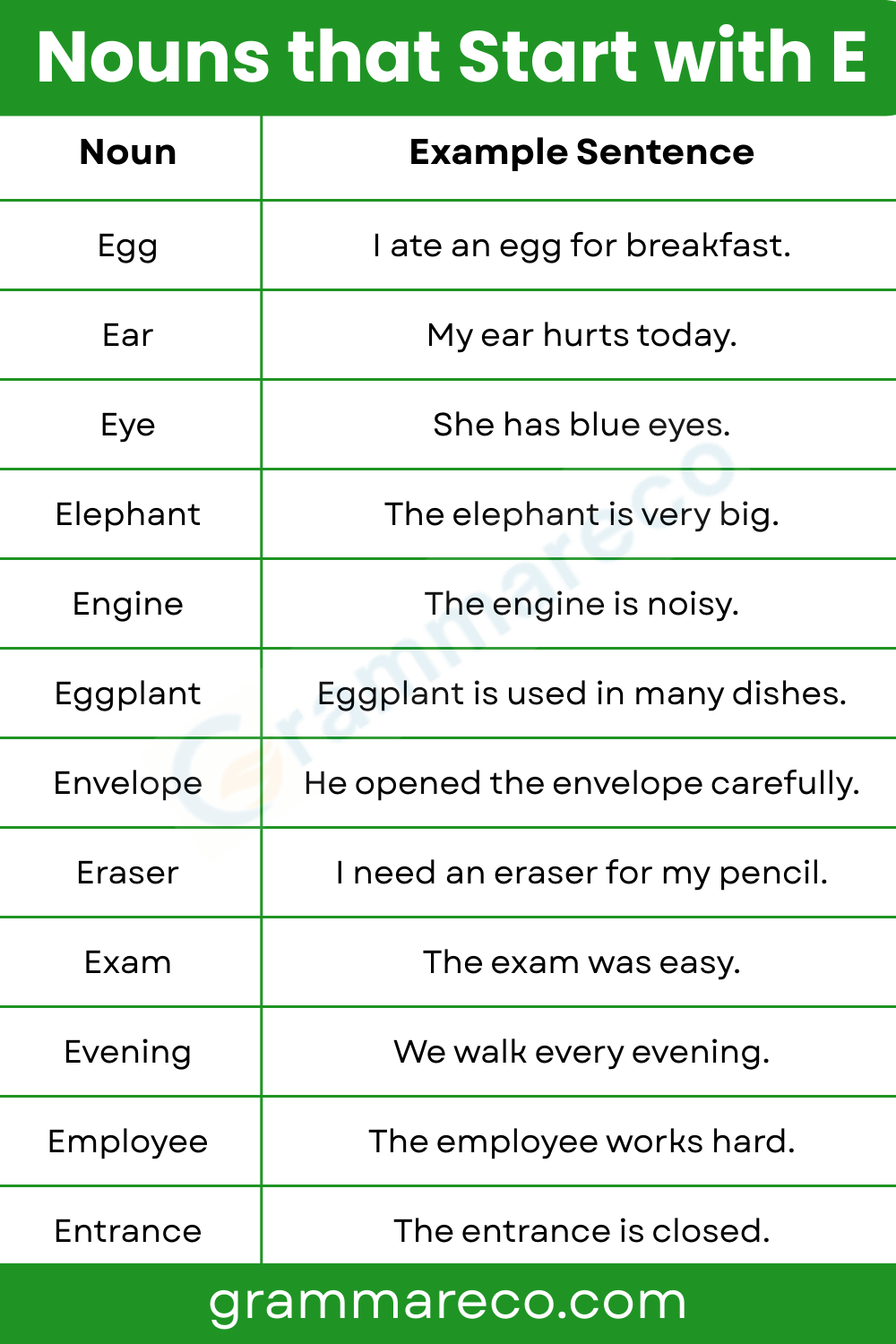 Common Noun That Starts with E Letter with Examples