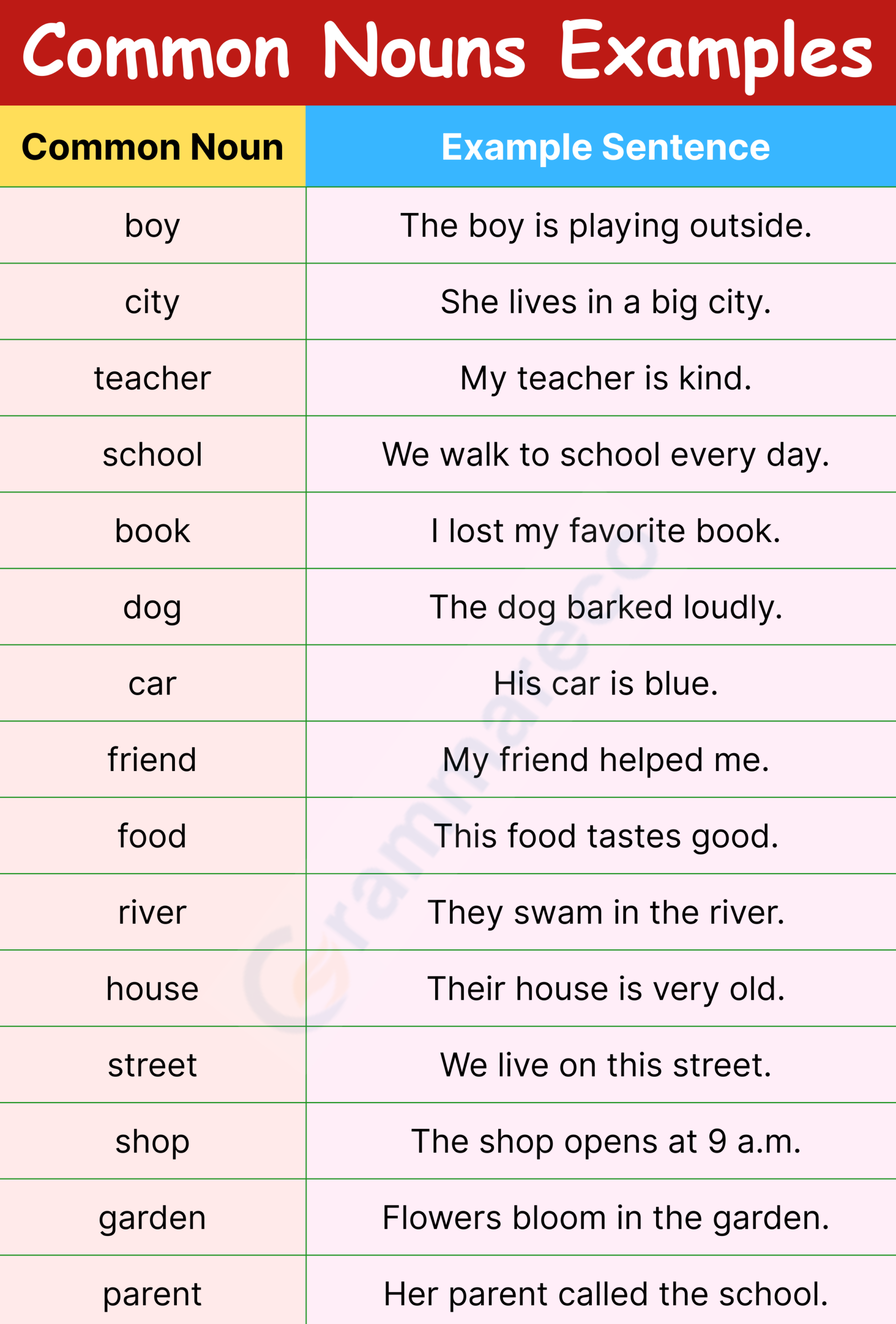 50 Common Nouns Examples with Sentences