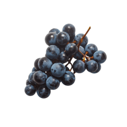 Concord Grapes: Purple Fruits Names