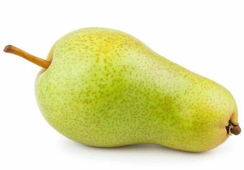 Conference Pears | Different Types of Pears Fruit