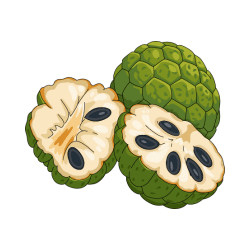 Custard Apple