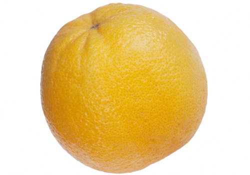 Delta Valencia Orange: Types of Orange Fruit