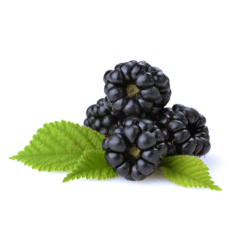 Dewberry: Purple Fruits Names