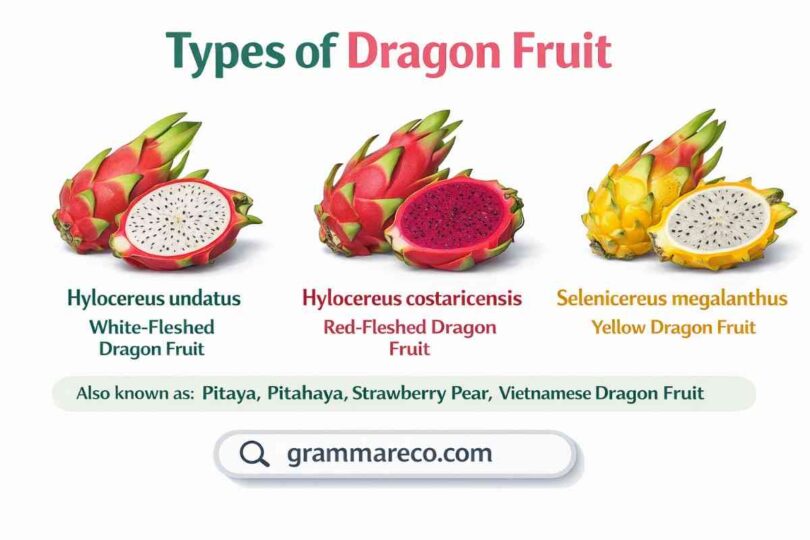 Types of Dragon Fruits and Pictures: Yellow, White, Red and more